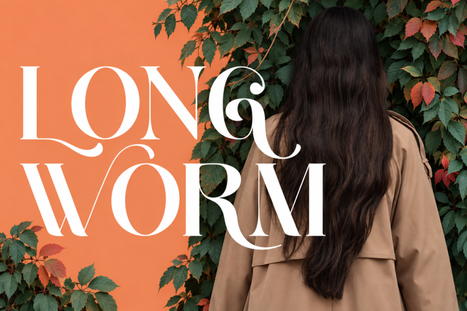 Wano Quin font is a beautiful and stylish font