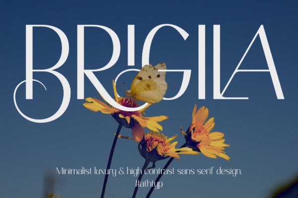 Brigila represents the intersection of classical serif elegance and modern minimalist design.